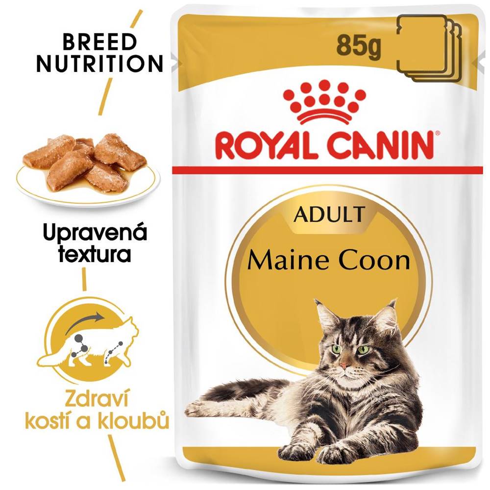 (bez zařazení) RC cat  kapsa   MAINE coon - 85g