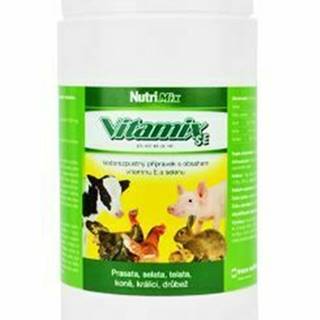 Vitamix SE plv 1 kg