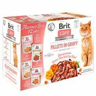 Brit Care Cat Fillets Gravy Flavour box 4&